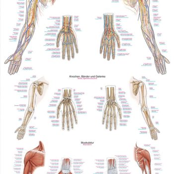 product-image-15677